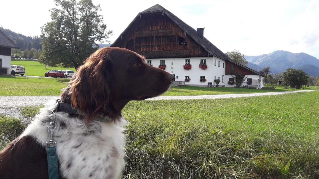 Pilznerhof Appartement Strobl Buitenkant foto